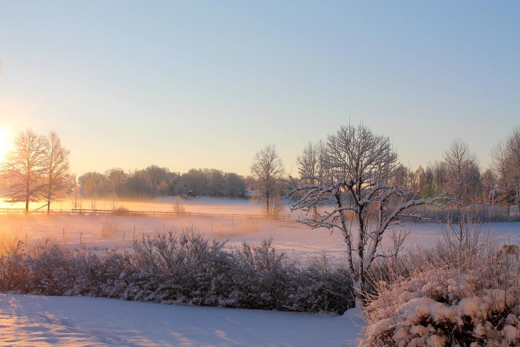 Hoehaellets Lantliga Rum Värnamo Exteriér fotografie