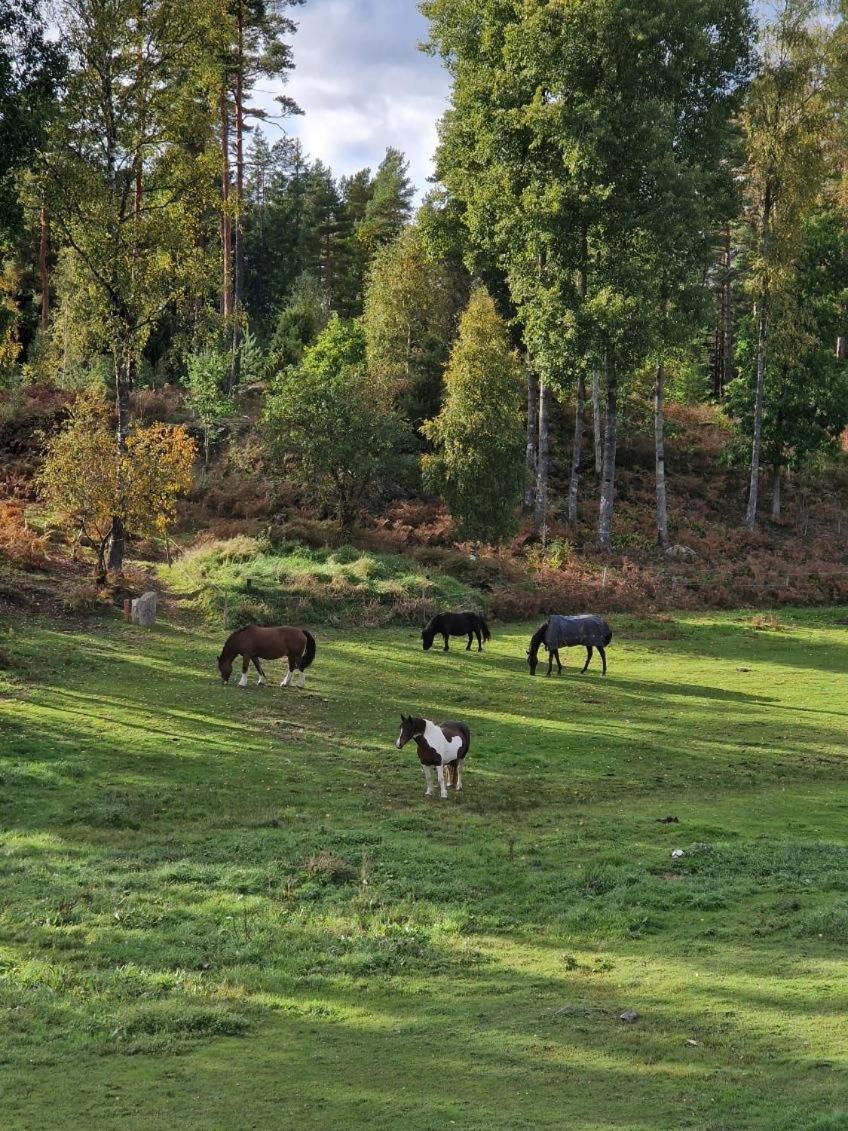 Hoehaellets Lantliga Rum Värnamo Exteriér fotografie